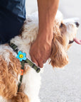 Daisy Dog Jiby - Collar Charm