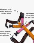 Anti-escape Y-Harness