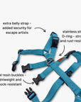 Anti-escape Y-Harness