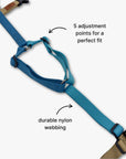 Anti-escape Y-Harness