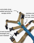 Anti-escape Y-Harness
