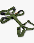Anti-escape Y-Harness
