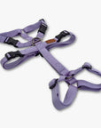 Anti-escape Y-Harness