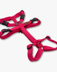 Anti-escape Y-Harness