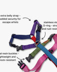 Anti-escape Y-Harness