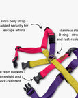 Anti-escape Y-Harness