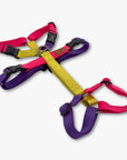 Anti-escape Y-Harness