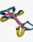 Anti-escape Y-Harness