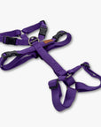 Anti-escape Y-Harness