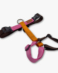 Y-Harness