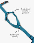 Y-Harness