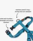 Y-Harness