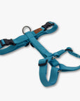 Y-Harness