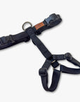 Y-Harness