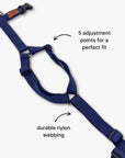 Y-Harness