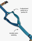 Y-Harness