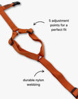 Y-Harness