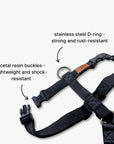 Y-Harness