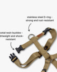 Y-Harness