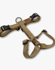 Y-Harness