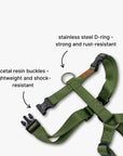 Y-Harness