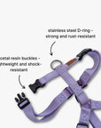 Y-Harness