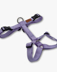Y-Harness