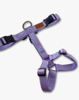Y-Harness