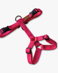 Y-Harness