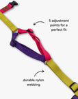 Y-Harness