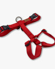 Y-Harness
