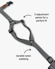 Y-Harness