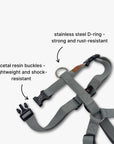 Y-Harness