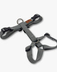 Y-Harness