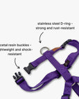 Y-Harness