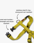Y-Harness