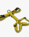Y-Harness