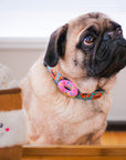 I Donut Care Dog Jiby - Collar Charm