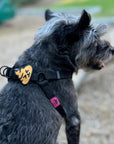 Poop Dog Jiby - Collar Charm