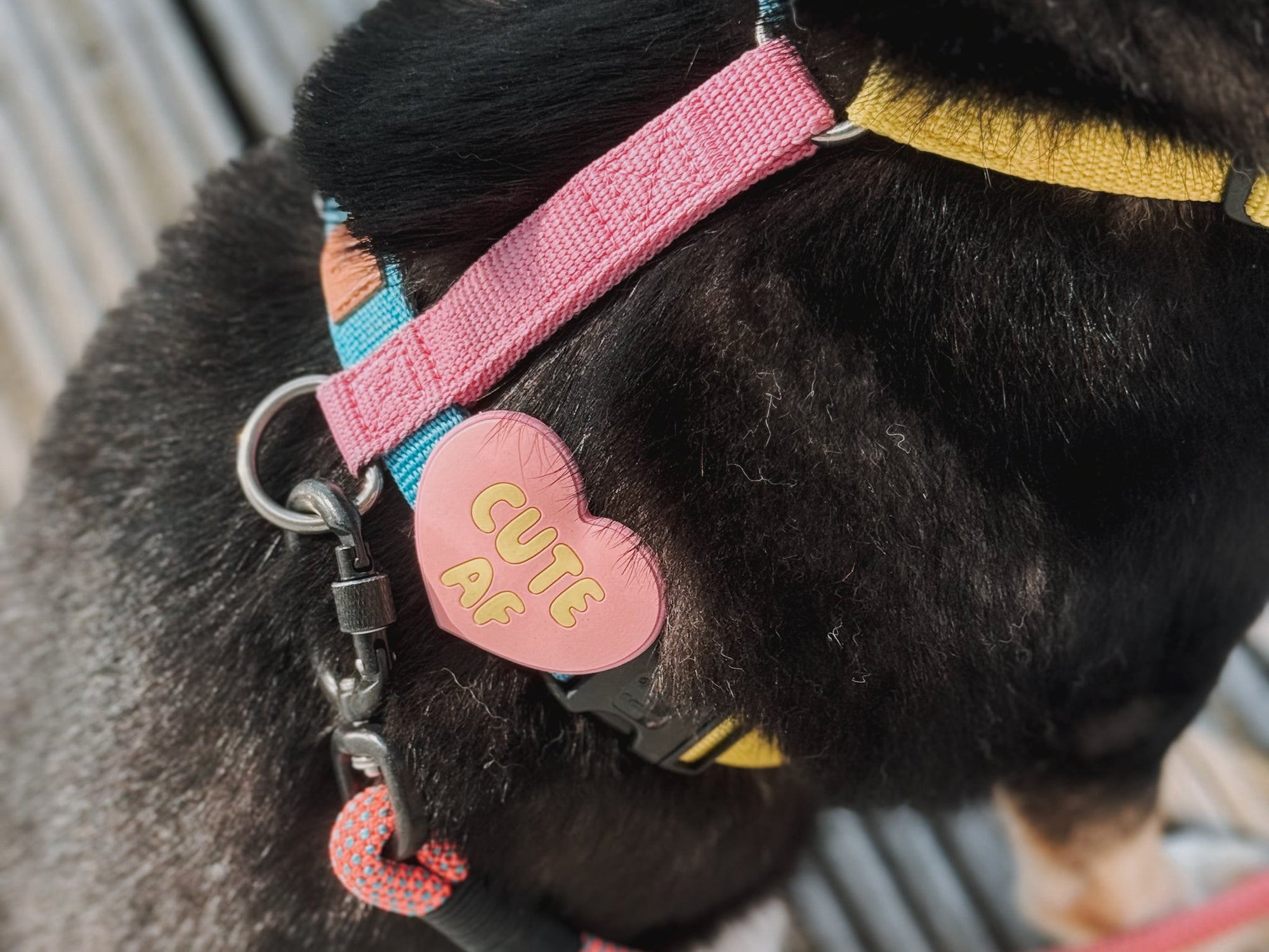 Jibys - Collar charms