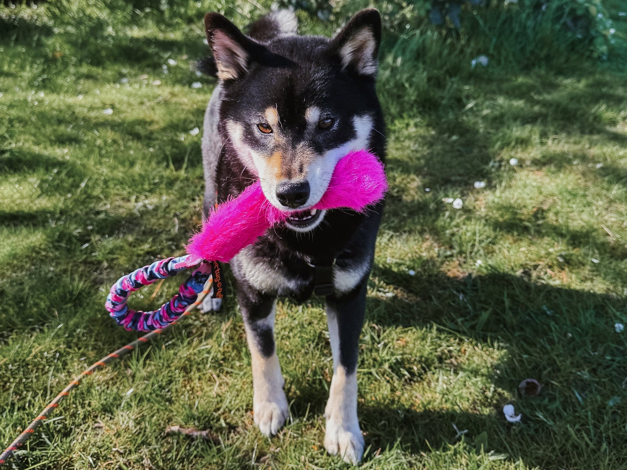 Tug toys