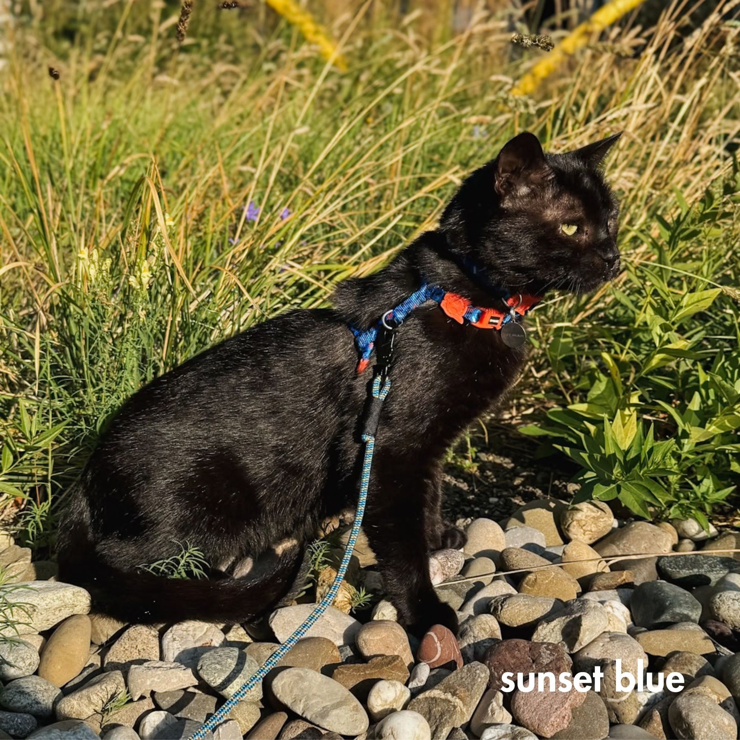 Tiny Convertible Leash (5 mm rope)