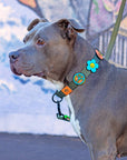 Peace Dog Jiby - Collar Charm