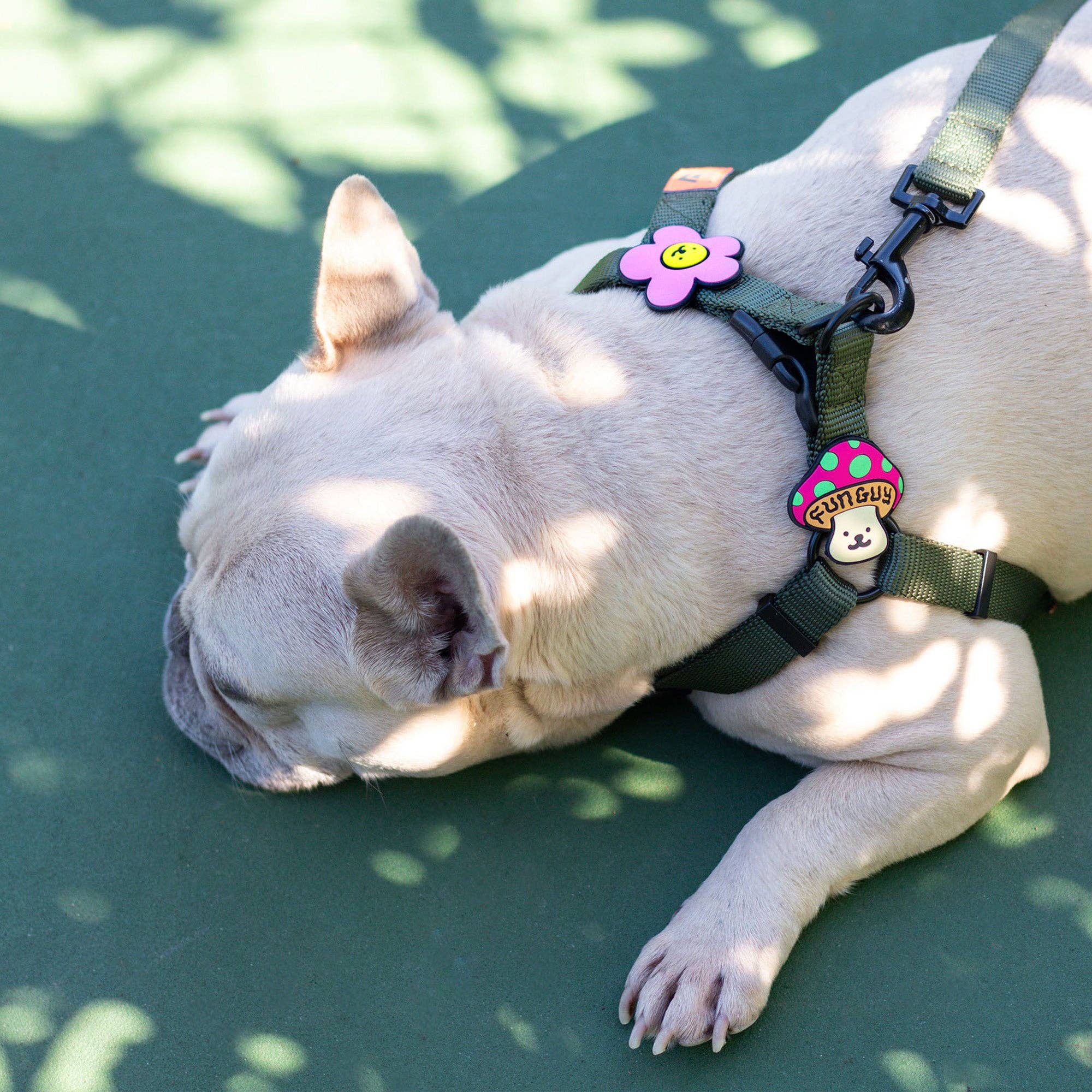Daisy Dog Jiby - Collar Charm
