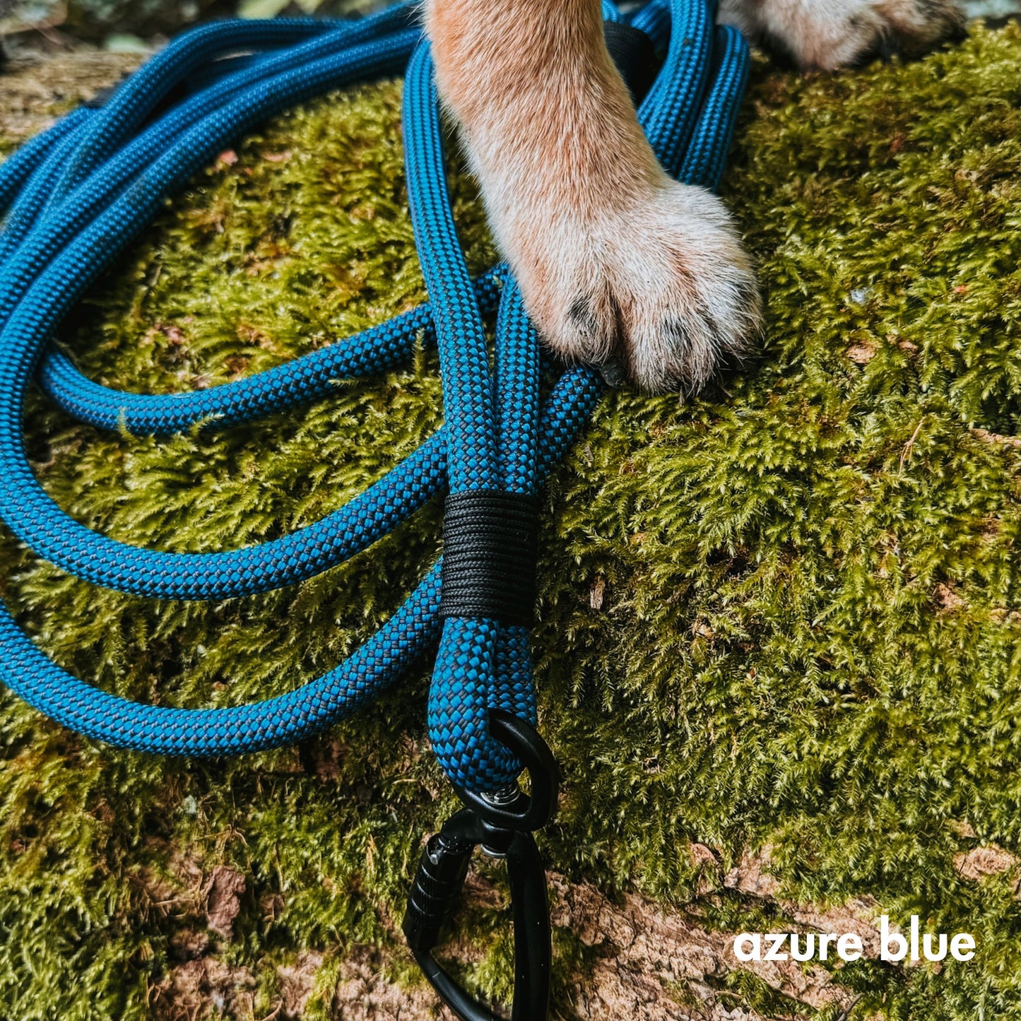 Classic Leash with Traffic Handle (9-10 mm rope)