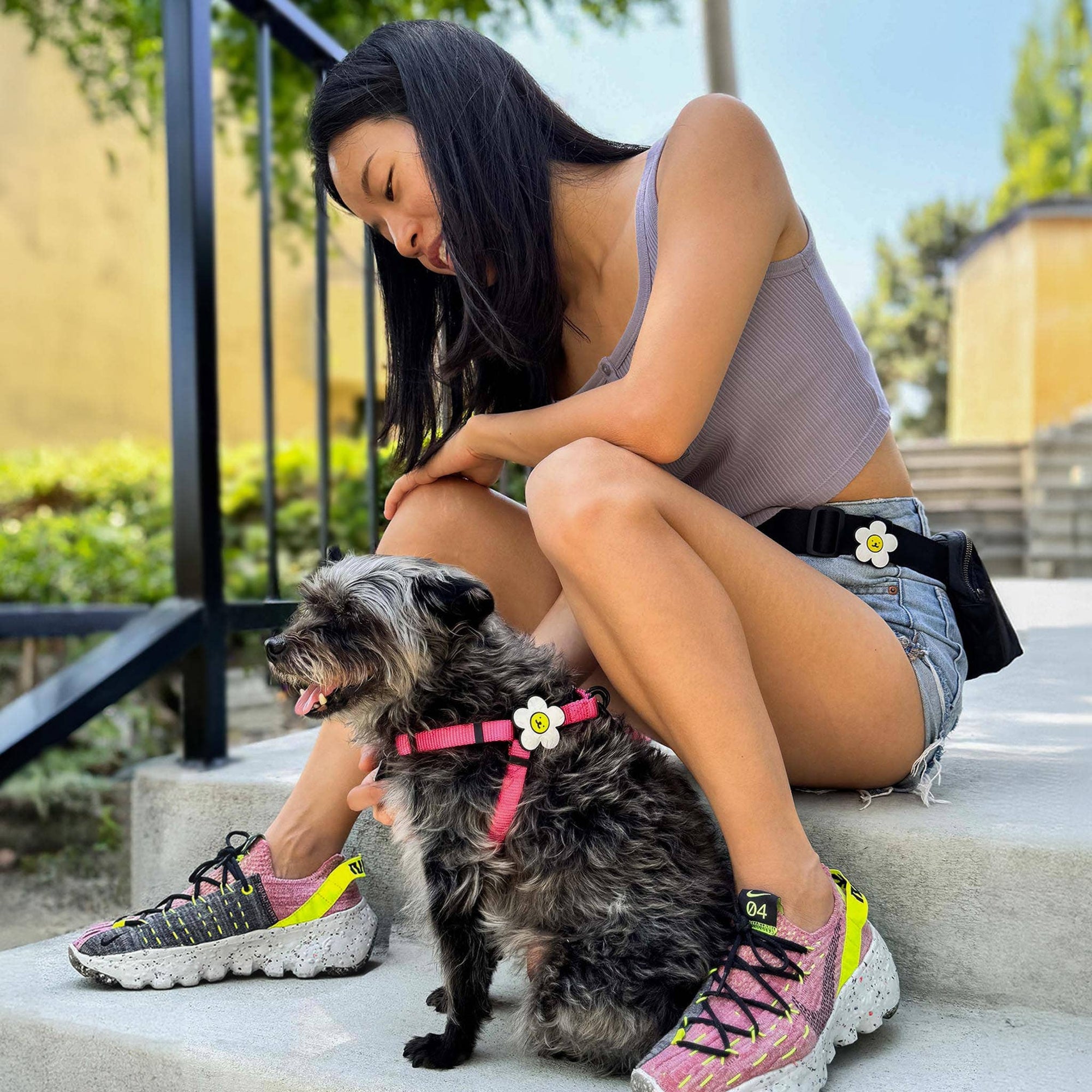 Daisy Dog Jiby - Collar Charm