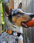 Basketball Jiby Dog Charm