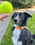 Tennis Ball Dog Jiby - Collar Charm