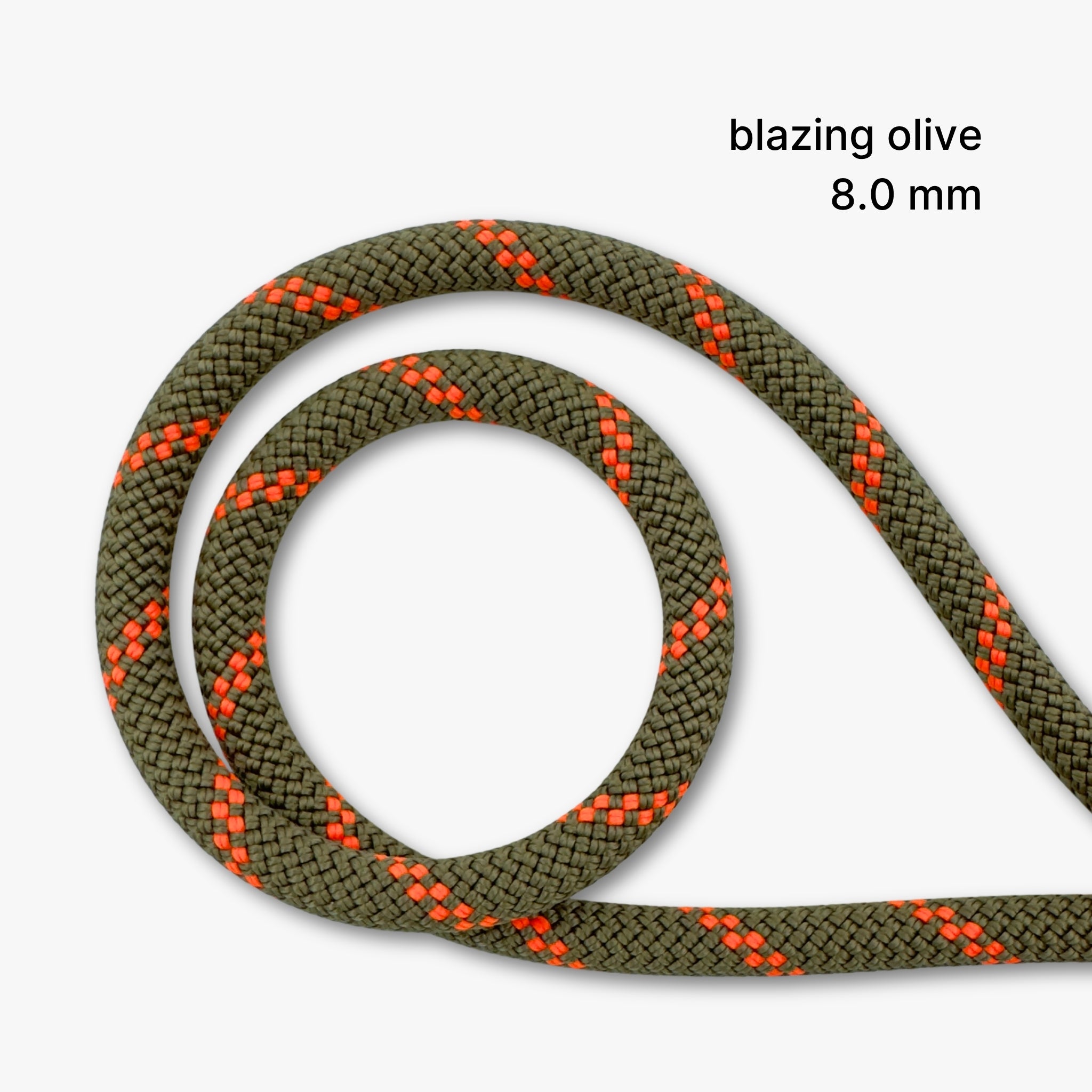 Climbing Rope Convertible Hands-Free Leash – Wilderwoofs