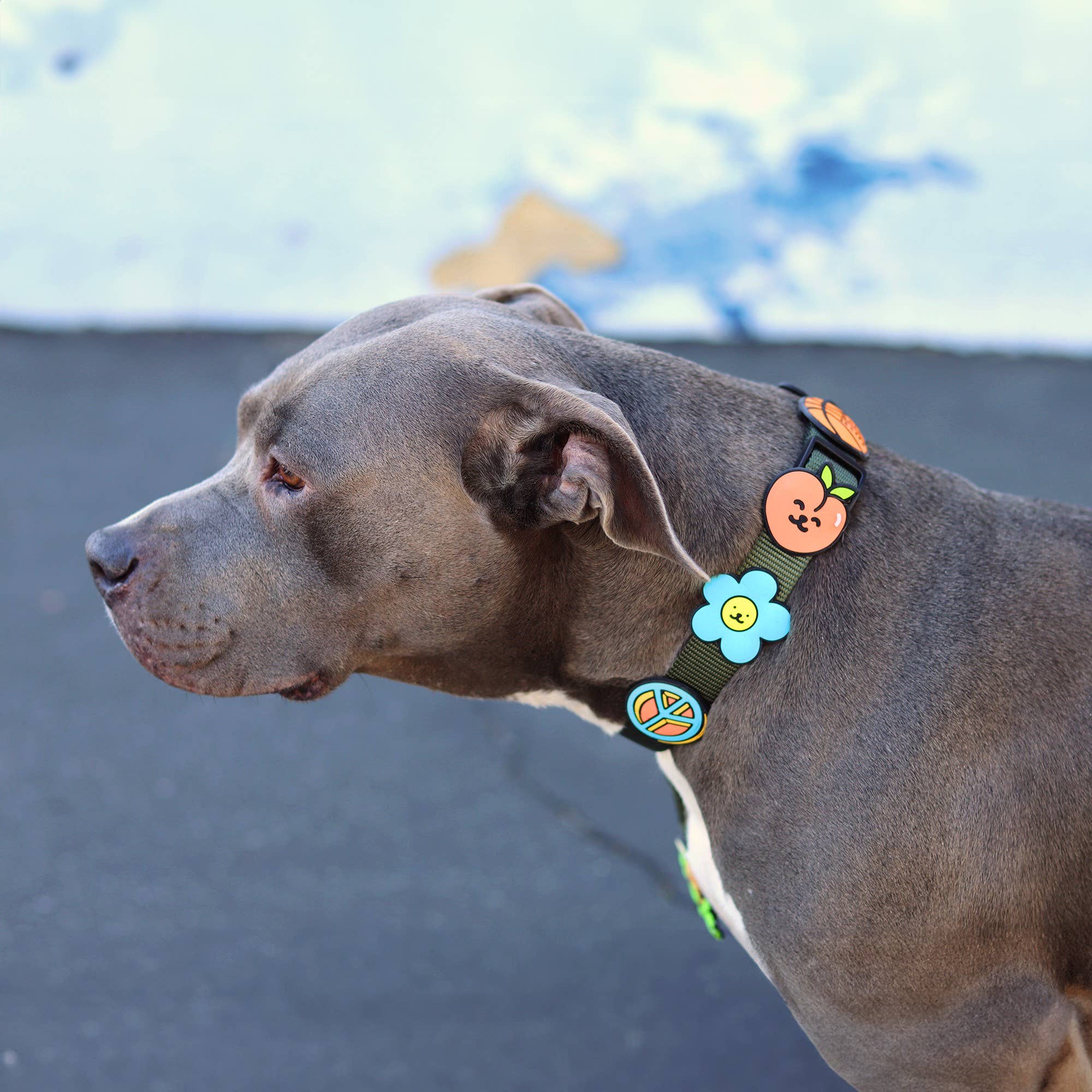 Daisy Dog Jiby - Collar Charm